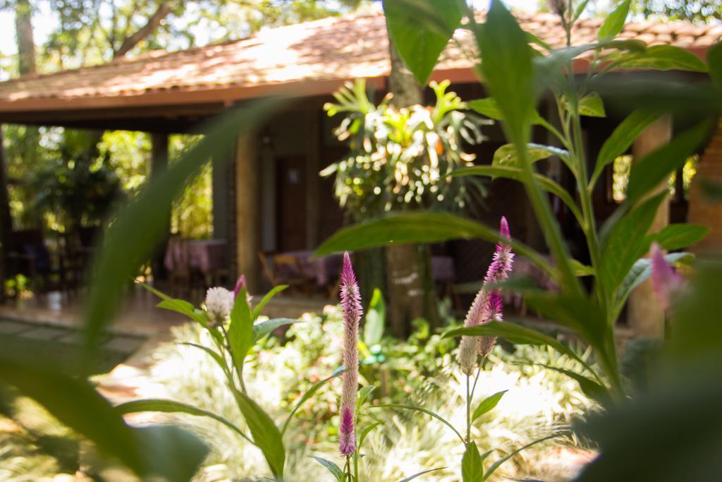 Pousada Da Mata Iriri Exterior photo